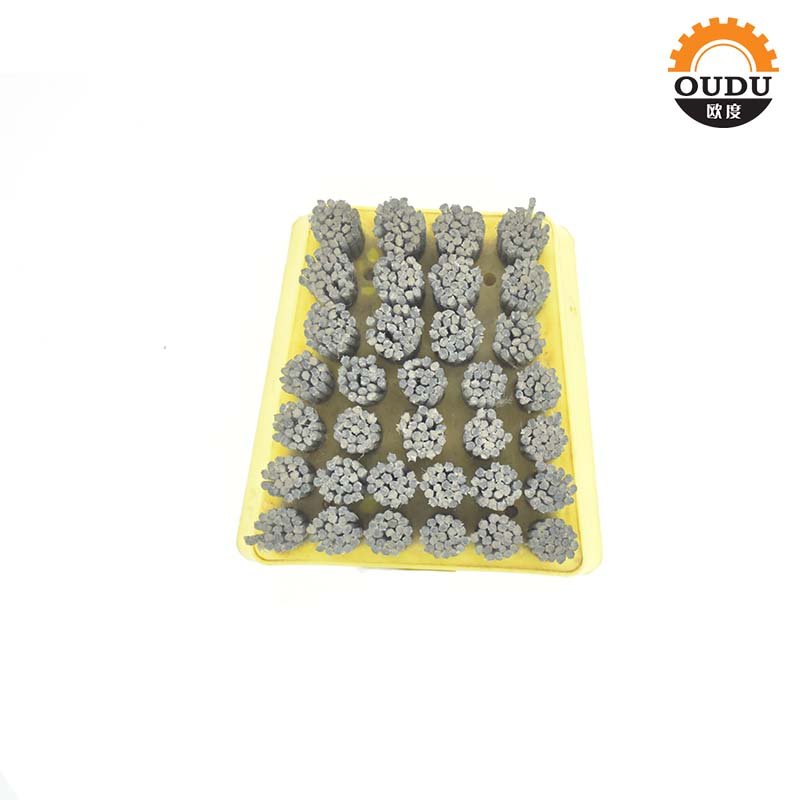 Tianli Frankfurt Steel Wire Brush